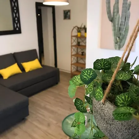 Apartament Cactus 2 Bedroom On Calle San Miguel Minutes From The By Namaste Elite