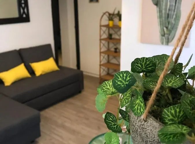 Apartamento Cactus 2 Bedroom On Calle San Miguel Minutes From The By Namaste Elite