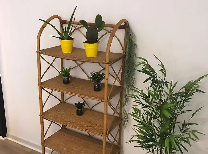 Cactus 2 Bedroom On Calle San Miguel Minutes From The By Namaste Elite Apartamento Torremolinos