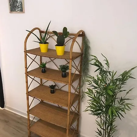 Cactus 2 Bedroom On Calle San Miguel Minutes From The By Namaste Elite Daire Torremolinos